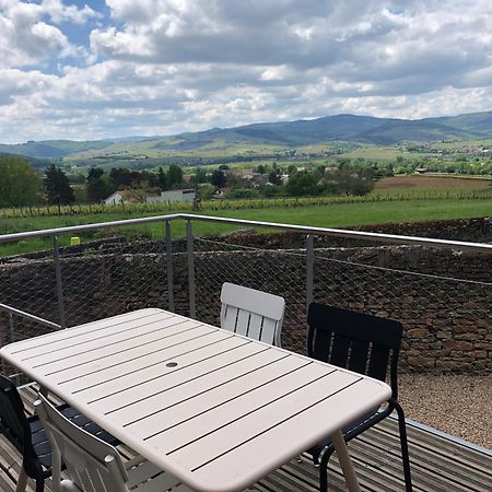 Appartement Contemporain Dans Une Authentique Demeure Viticole Charnay-lès-Mâcon Kültér fotó