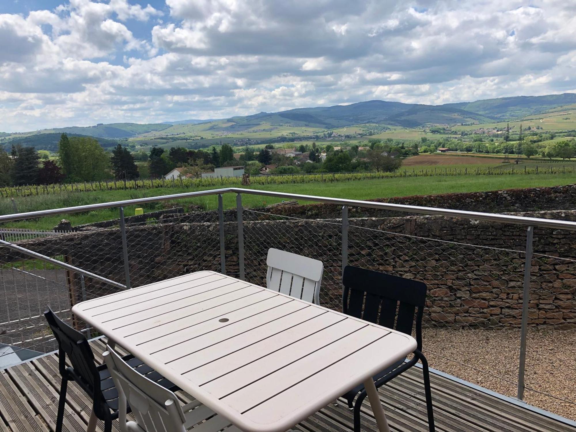 Appartement Contemporain Dans Une Authentique Demeure Viticole Charnay-lès-Mâcon Kültér fotó